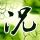 酒店这里千万别挂衣服 有人赔上万元